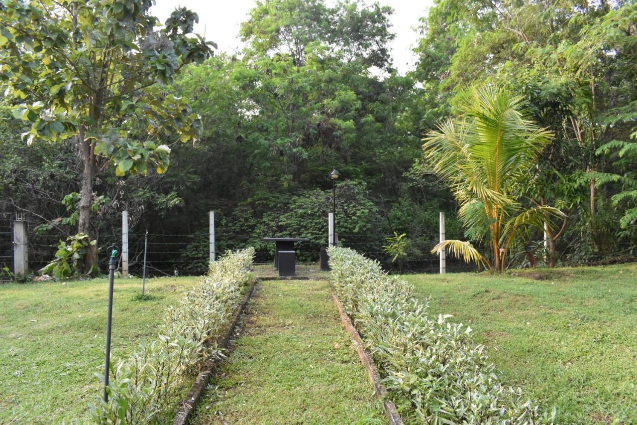 Nil Bawana Nature Resort Udawalawe Bagian luar foto