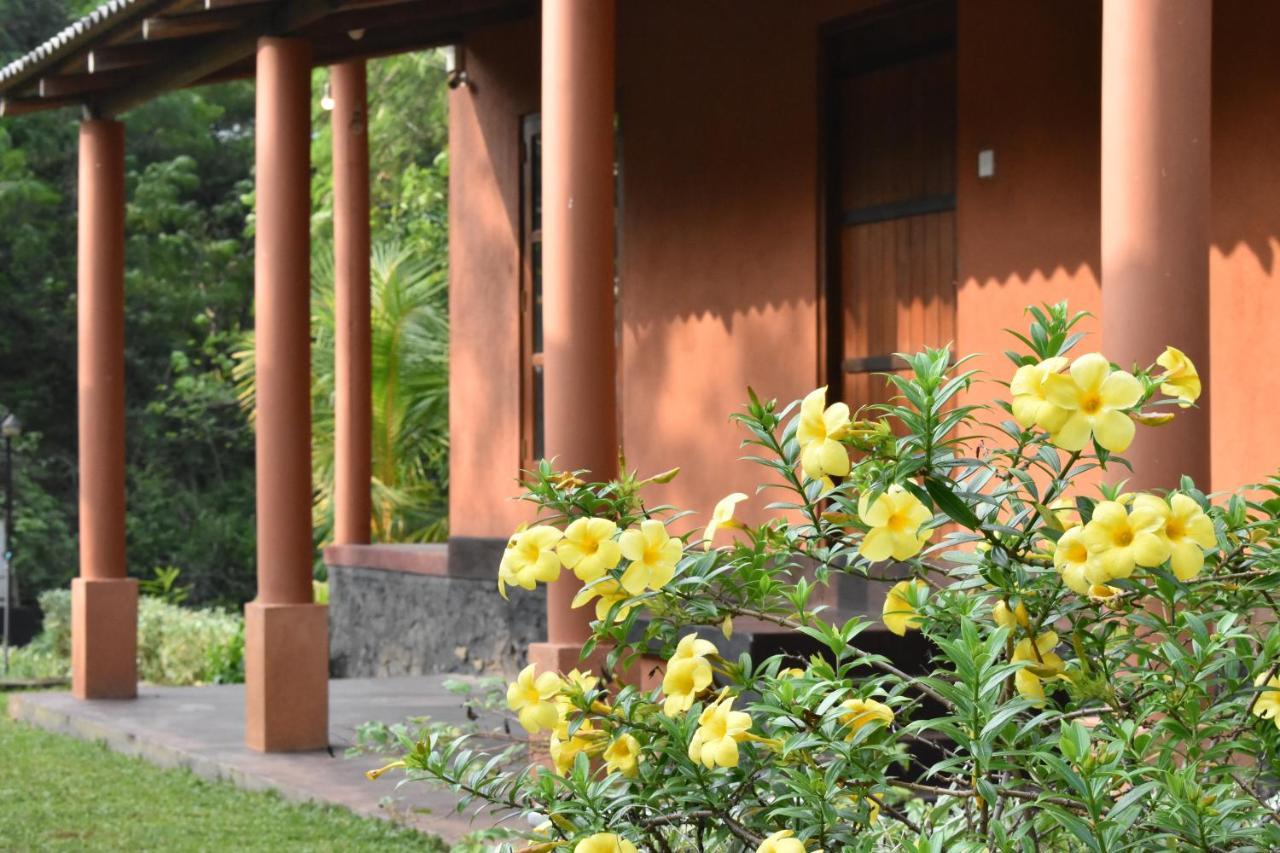 Nil Bawana Nature Resort Udawalawe Bagian luar foto