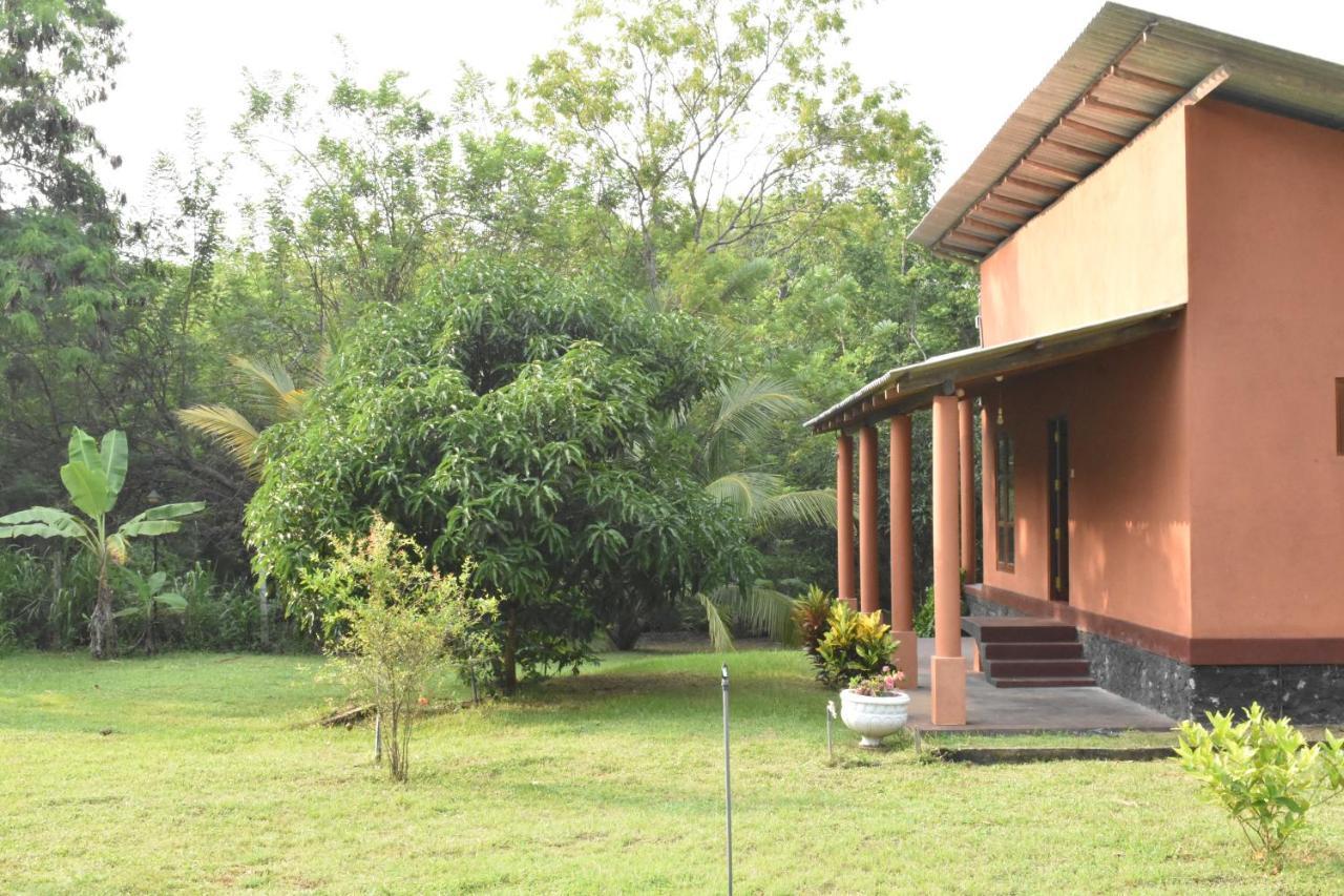 Nil Bawana Nature Resort Udawalawe Bagian luar foto